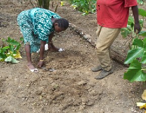 Education à la protection de l'environnement